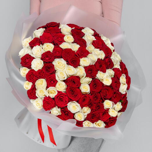 101 Trandafir alb-roșu 60 cm