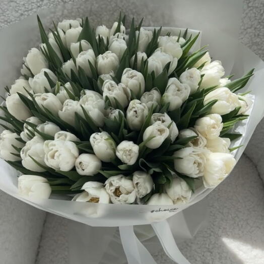 White Peony Tulips