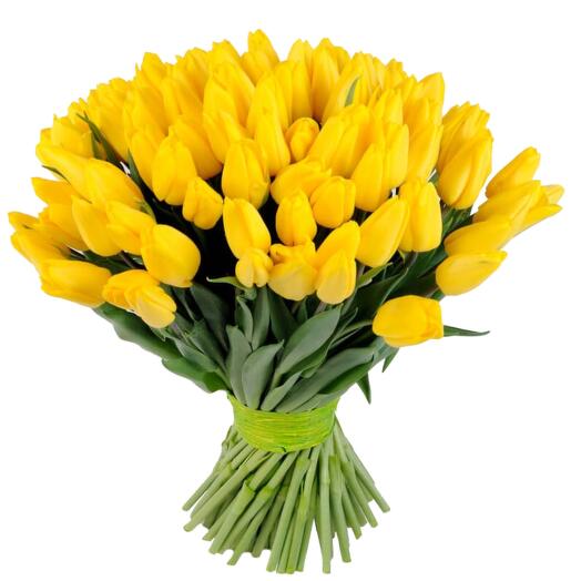 Mono bouquet of tulips 51 pcs