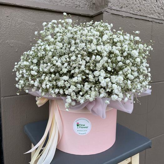 Blumenbox mit Schleierkraut