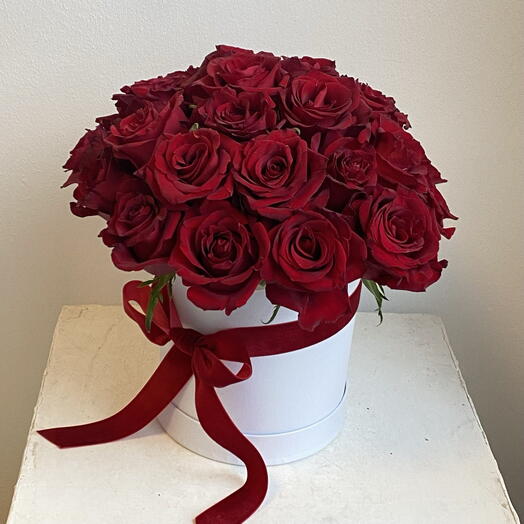 Lächeln Rote Rosen im Blumenkasten L