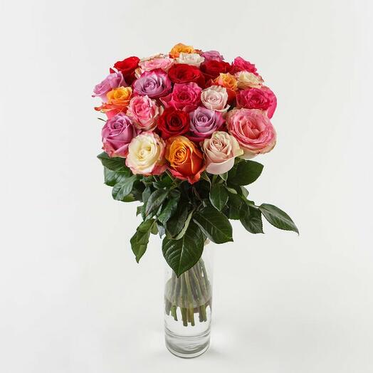 25 colorful roses