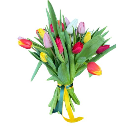 Mieszanka tulipanów, 25 szt.