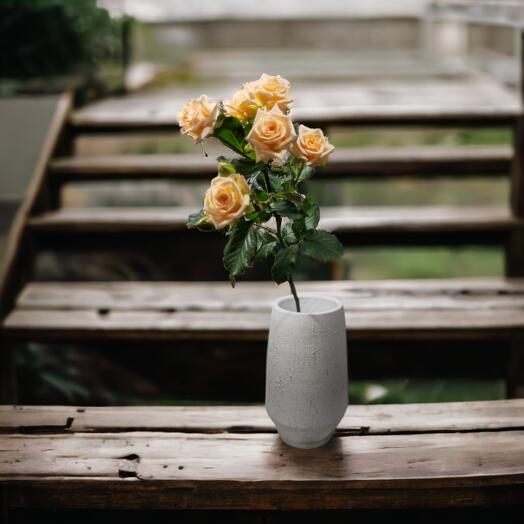 Spray Roses (Mixed colours), price per piece