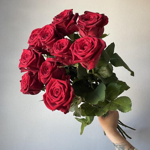 10 Red Roses