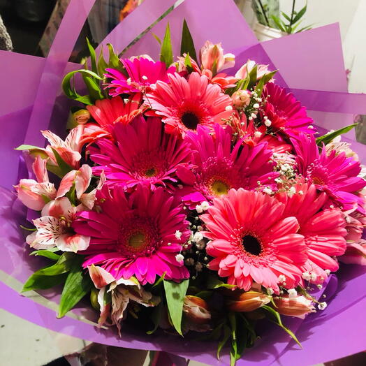 Gerberas