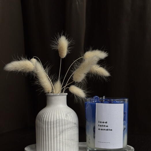Conjunto de 3: Vela Iced Latte, jarrón y base de yeso