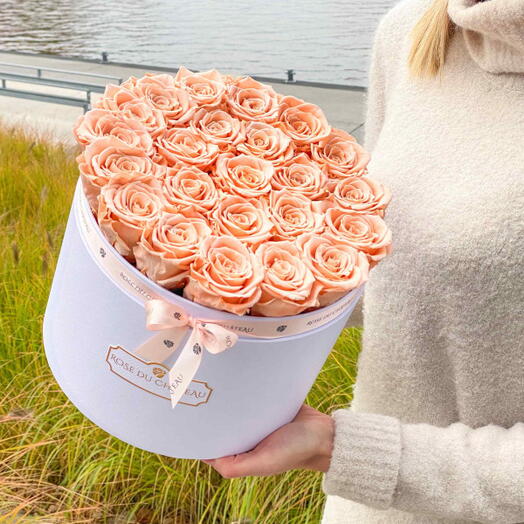 Roses thé éternelles dans un grand coffret blanc