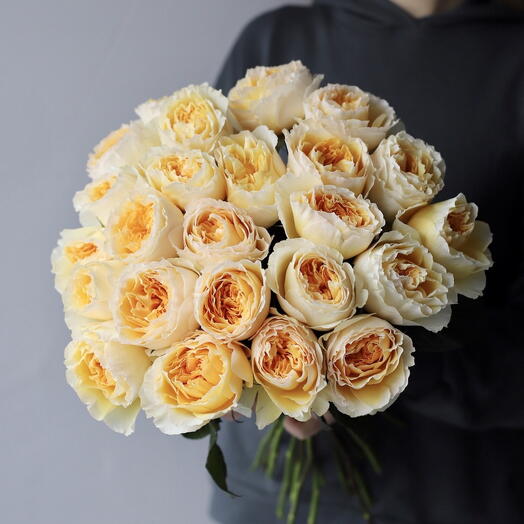 Light yellow Peony rose(11 stem)