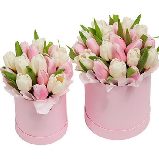Tulips in a "Mum Daughter" box