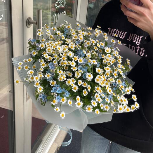 Chamomile and Oxypetalum