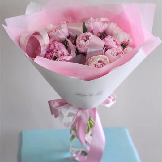 Pink Peonies, 13 pcs