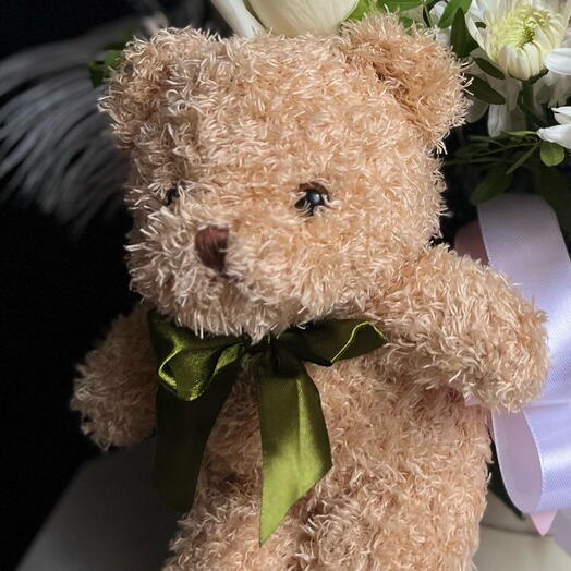 Teddy Bear 🧸