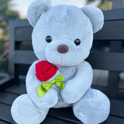 35 cm Grey Teddy Bear with Rosa
