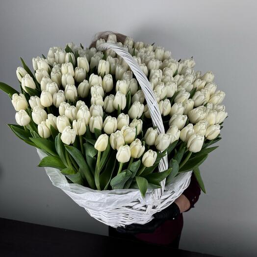 Busket - 151 White Tulip