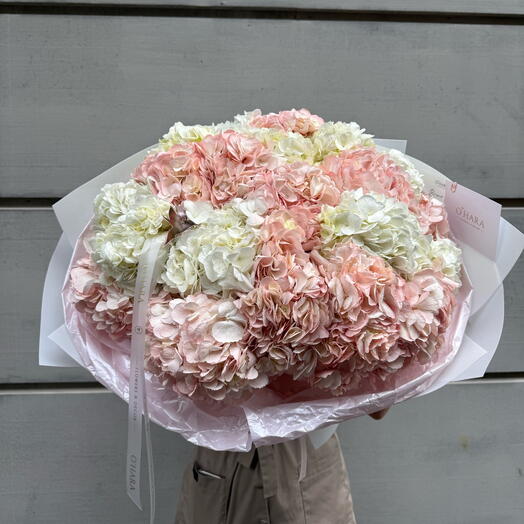 Hydrangeas Mix M