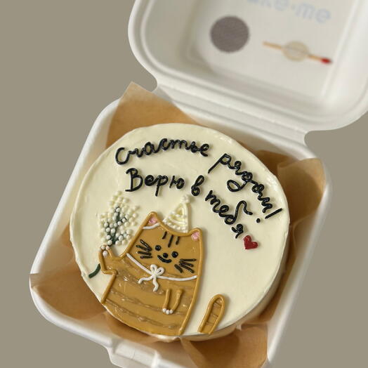 Bento Cake Cat 🐱