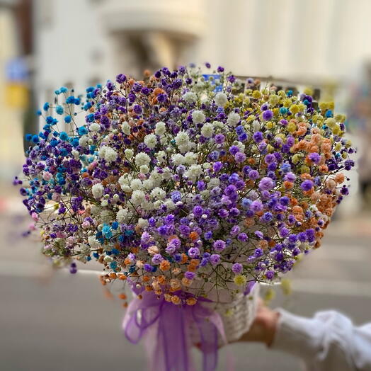 Gypsophila Basket