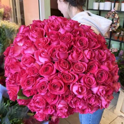 101 pink roses