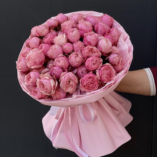 Tr.Rosa Pink