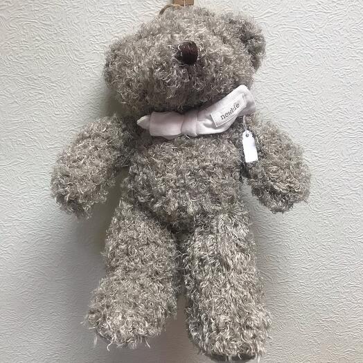 Teddy Bear 1