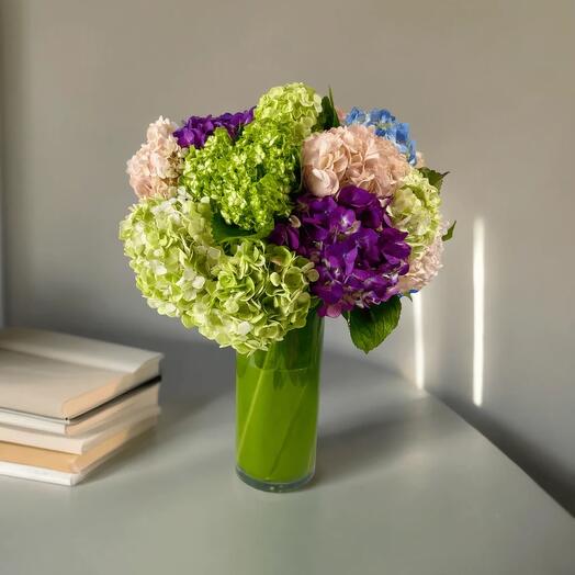 Vibrant Charm – Hydrangea Arrangement in a Vase