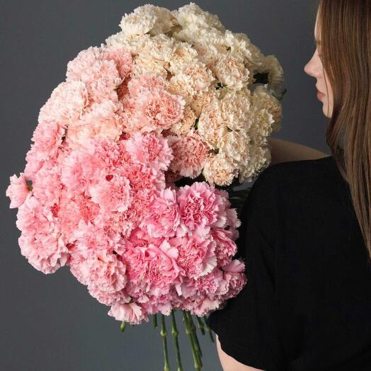 Carnitions cream mix