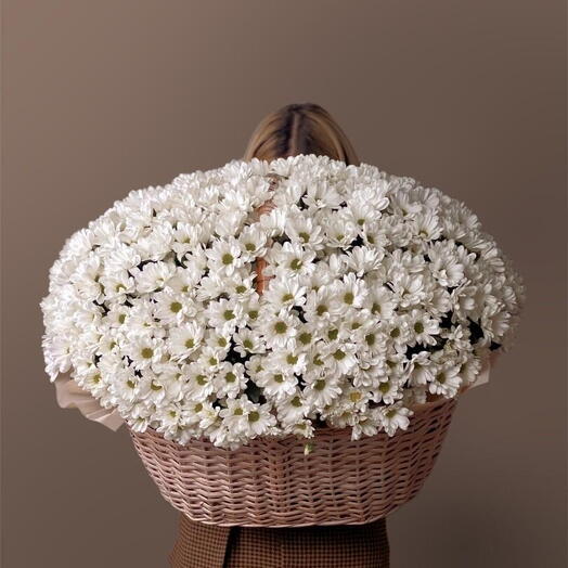 Корзина с хризантемы ромашковой