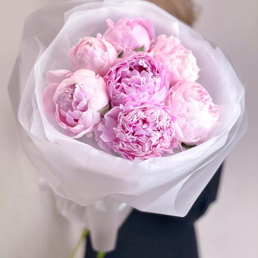 Букет пионов 7  штук