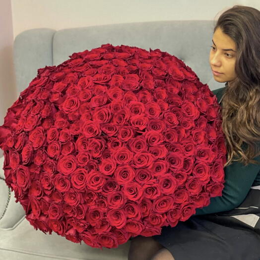 225 Красных роз под ленту