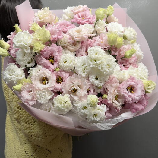 Mix of terry eustoma
