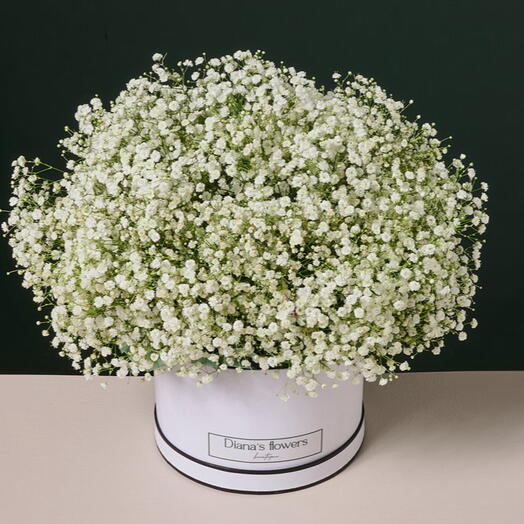 סידור פרחים מגיפסנית