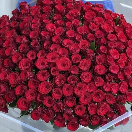 200 Red Roses 50 cm