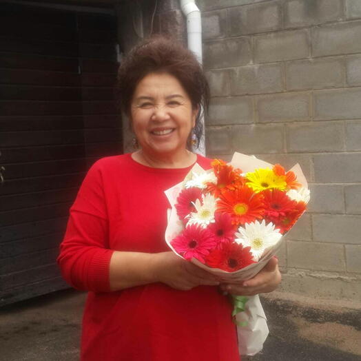 Elegant Gerberas Flowers