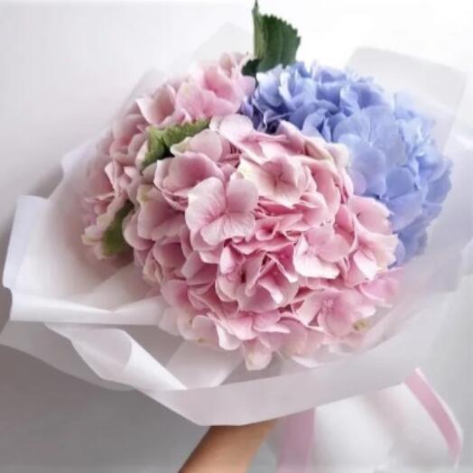 3 гортензии букет