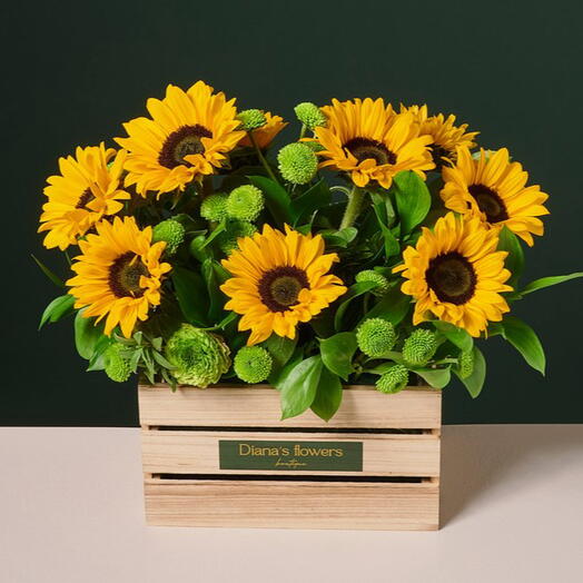 סידור פרחים מחמניות