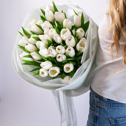 White tulip