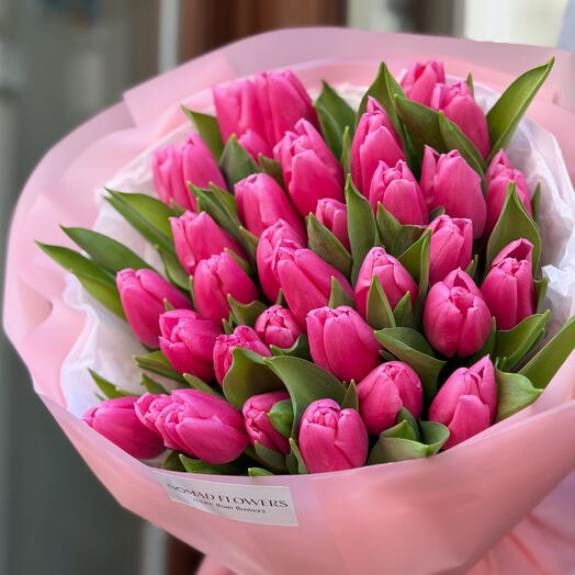 🌷 35 Pink Tulips