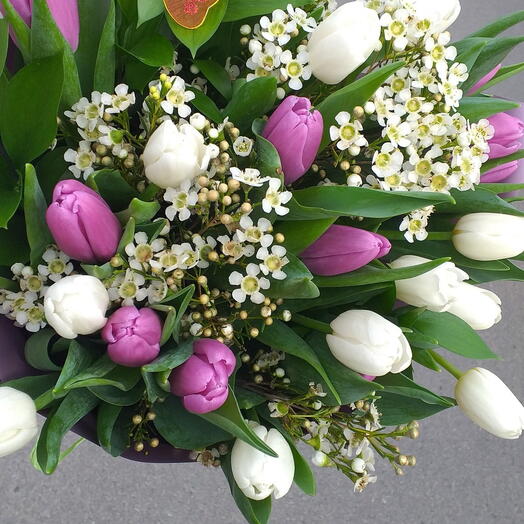 Papillon de printemps