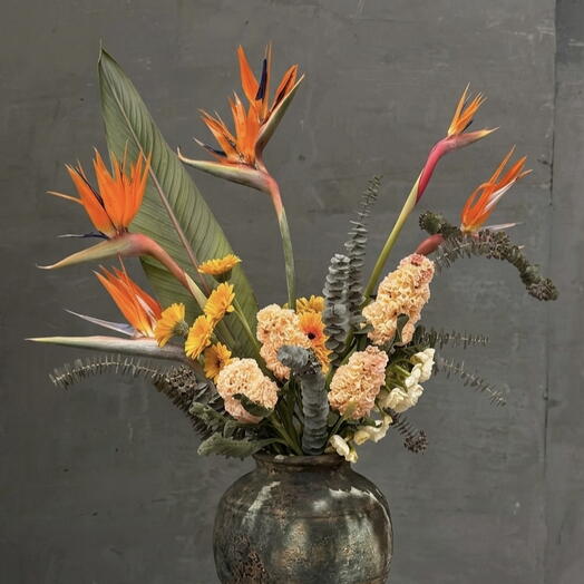 Exotic bouquet with Strelitzia