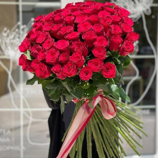 75 Голландских красных роз 70-80 см