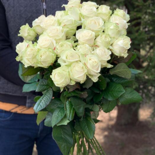 Білі троянди