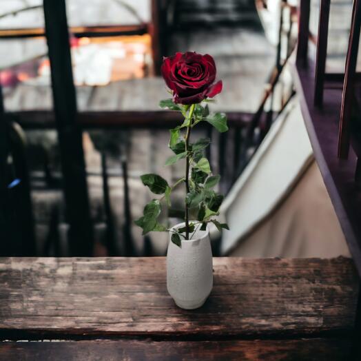 Red Roses (Equador) 70 cm, price per piece