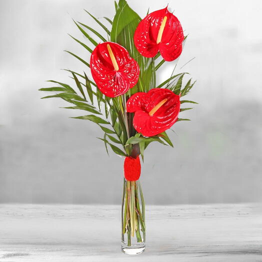 Bouquet of Anthuriums