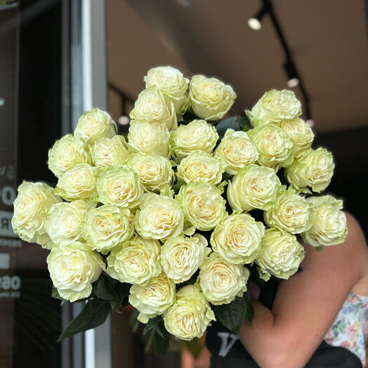 33 White Mondial Rose