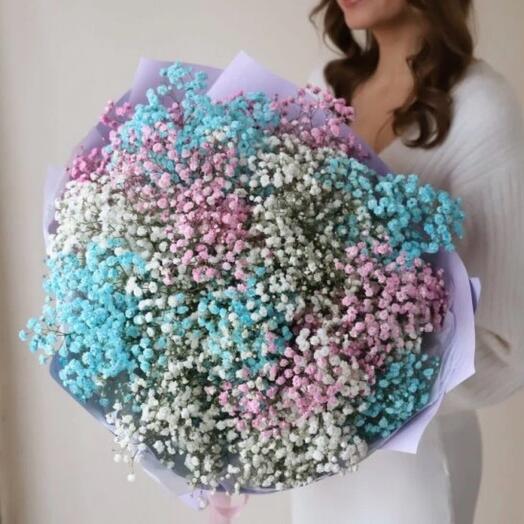 Гипсофила радужная в нежном оформлении (25шт)