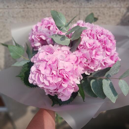 Bouquet Hortensia with eucalypt