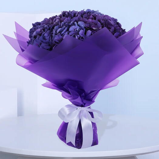 Compassionate  Hydrangea