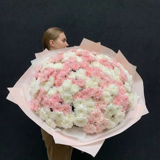 🌸 50 Chrysanthèmes - 50 Chrysanthèmes