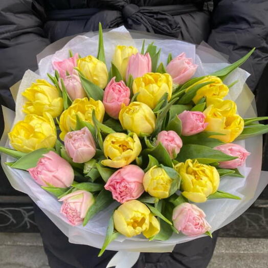 Tulips 25 yellow pink